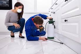 Best Pest Prevention Services  in New Vienna, OH